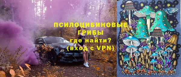 первитин Белокуриха
