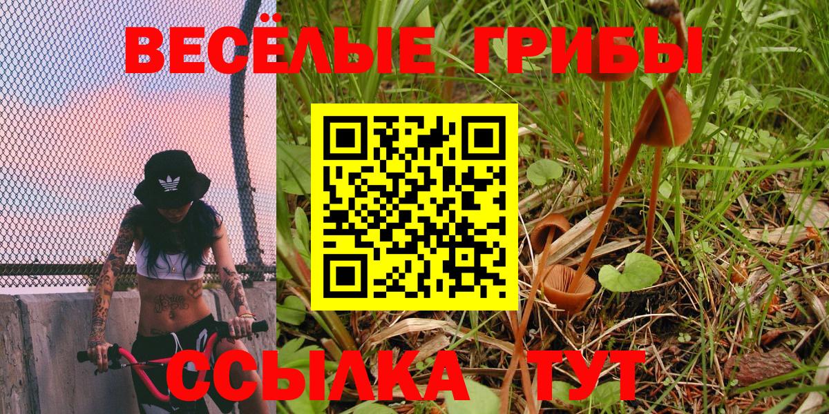 Галлюциногенные грибы Magic Shrooms  Белорецк  Псилоцибиновые грибы прущие грибы 