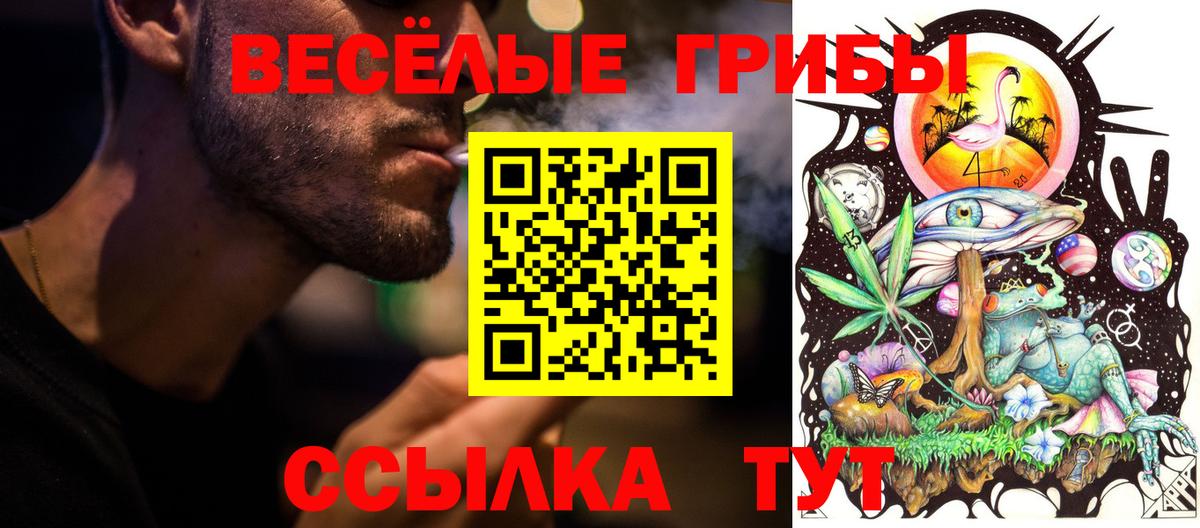 Галлюциногенные грибы ЛСД Белорецк