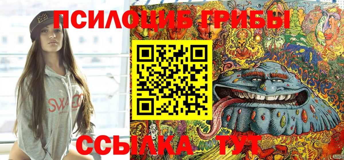 закладка  Вход с VPN  Белорецк  Псилоцибиновые грибы GOLDEN TEACHER 